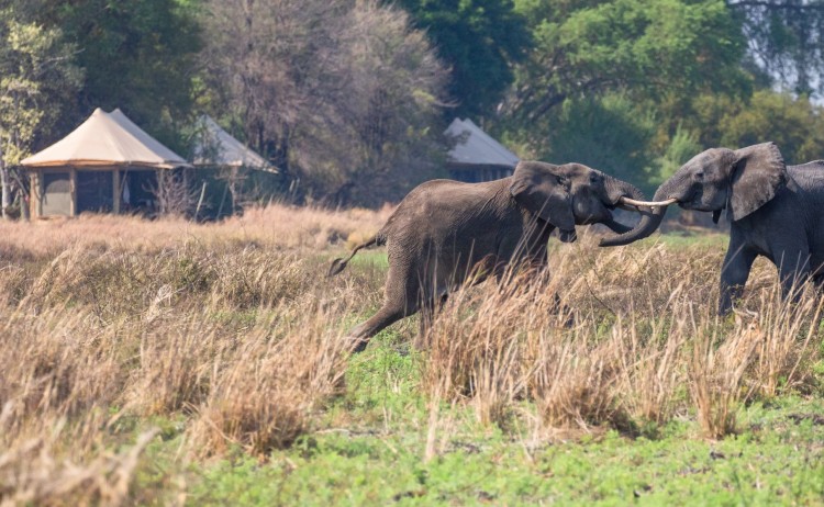 Musekese Portfolio Shoot MM 001 small