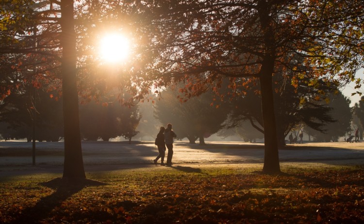 Hagley Park Christchurch