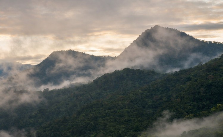 sunrise cloud forest v2