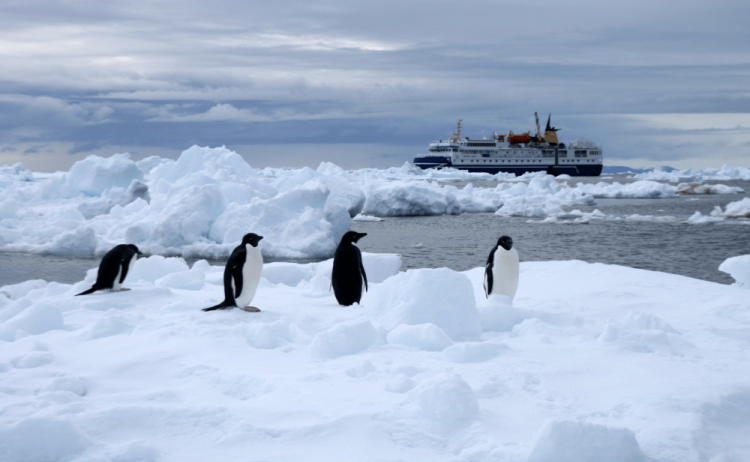 sb oceannova exterior penguins 1 67086f931c693