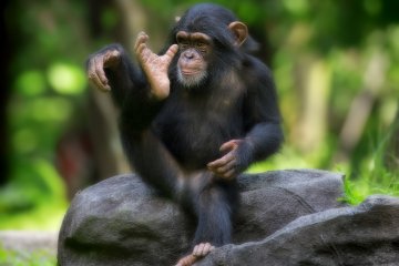 Best of Rwanda