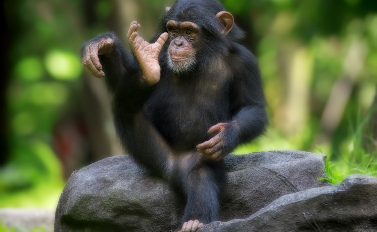 shutterstock 228231043