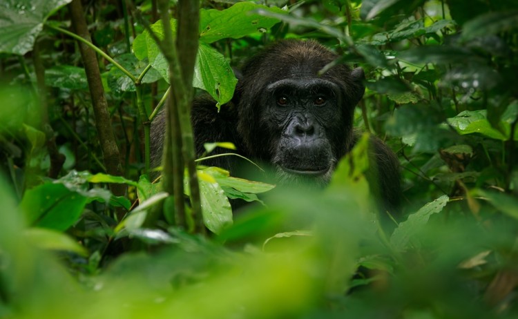 shutterstock 2391178383