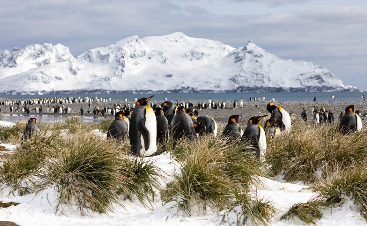 By Fredy Thuerig shutterstock 1236649975 800