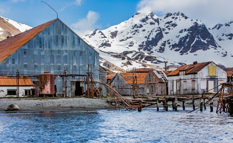 By jo Crebbin shutterstock 1227157159 800