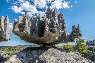 Best of the West - Baobabs and Tsingy