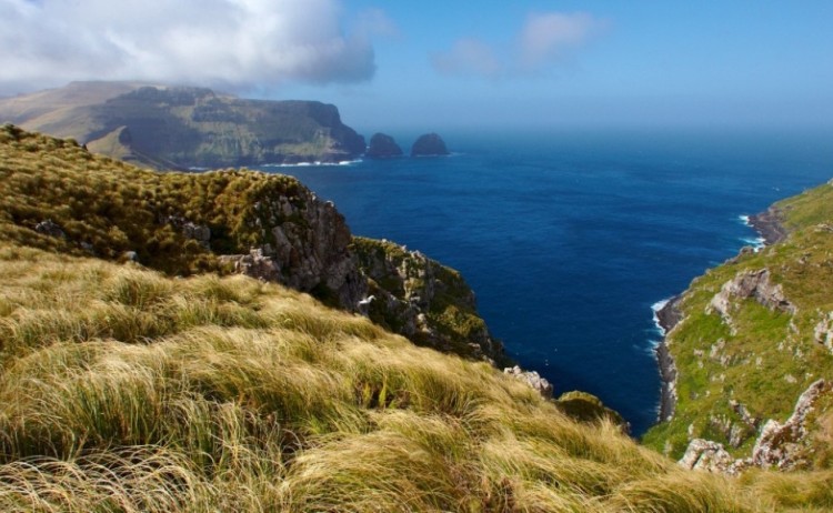 c ebell auckland island