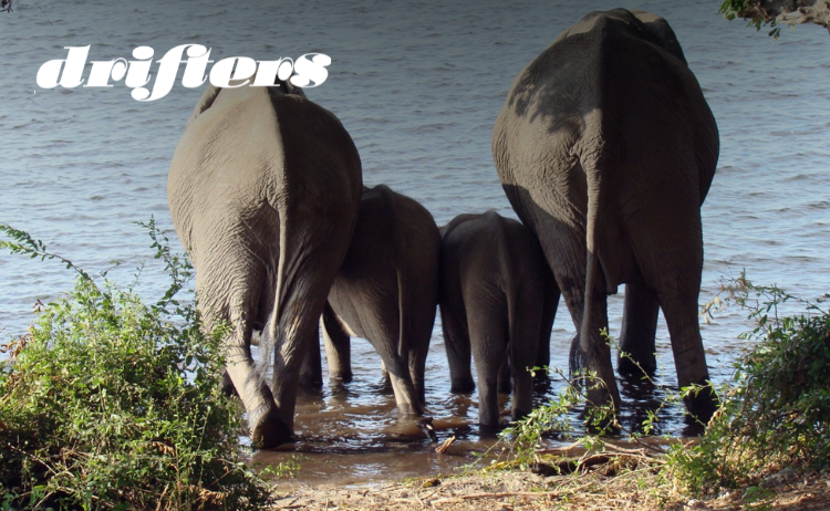 Botswana Adventure  Small Group