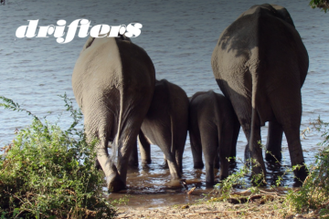 Botswana Adventure: Small Group