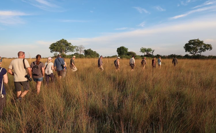 Botswana Okavango Delta activities guided walking safari