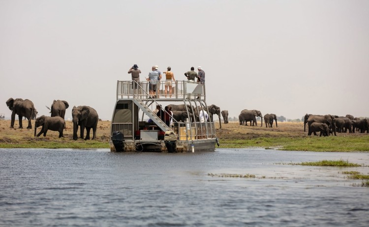 Botswana adventure boat cruise in Chobe National Park