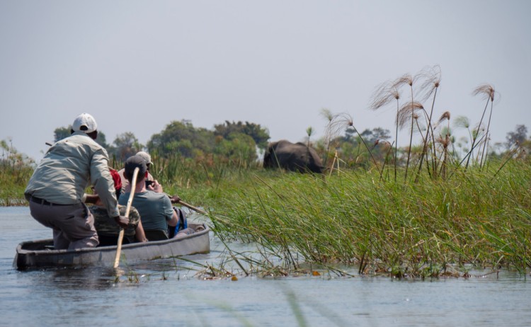 Botswana adventure traditional canoe ride in Okavango Delta