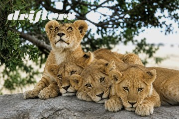 Botswana Adventure: Small Group 