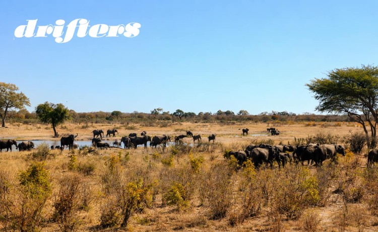 Botswana Discovery Safar small group