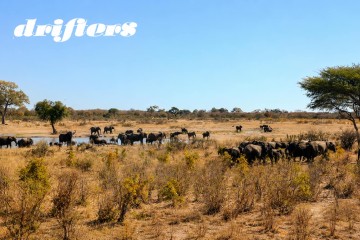 Botswana Discovery Safari: Small Group 