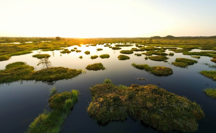 Botswana Discovery Safari Okavango Delta