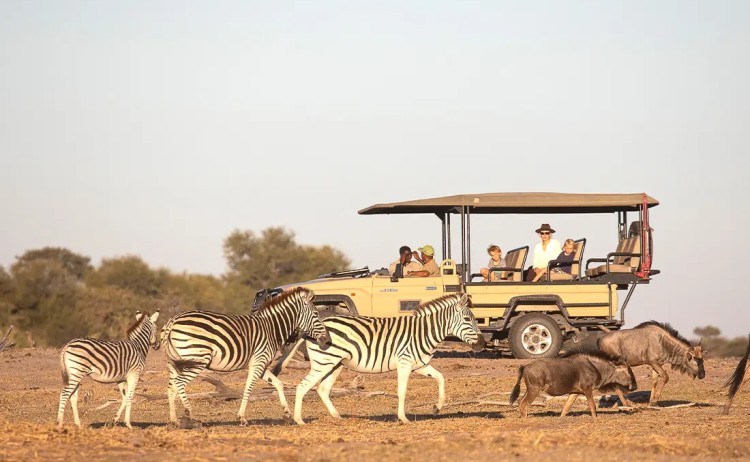Bostwana game drive wildlife game drive viewing
