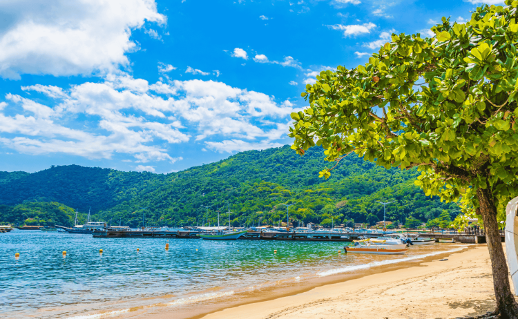 GVS Square animation Video 5