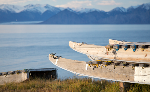 pond inlet canadianarctic acaciajohnson 1 4993x3825 1f211c2