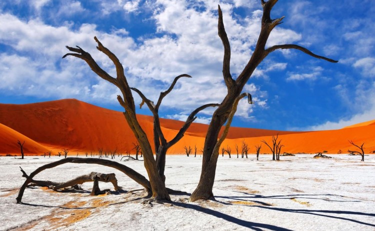 namibia hero resized