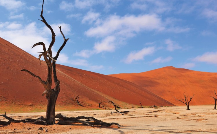 Cape Town to Victoria falls Dead Vlei in Naukluft National Park Namibia
