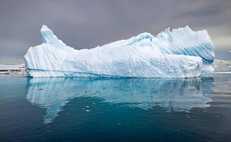 Celebrating New Years massive Iceberg