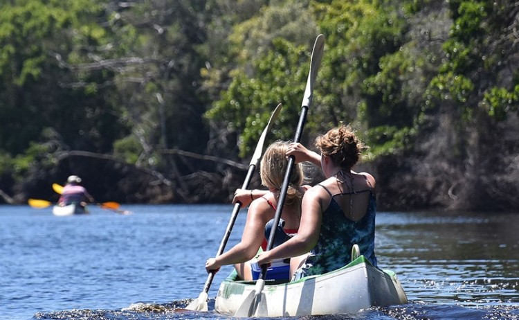 Simbavati experiences Fynbos kayaking