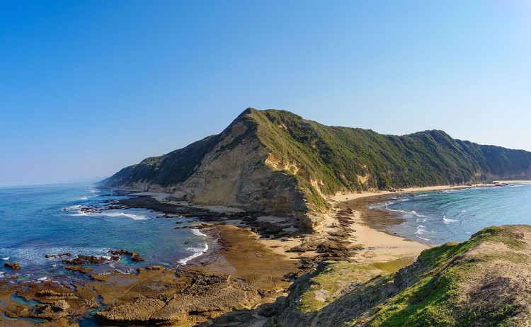 Simbavati gallery Fynbos swartvlei beach