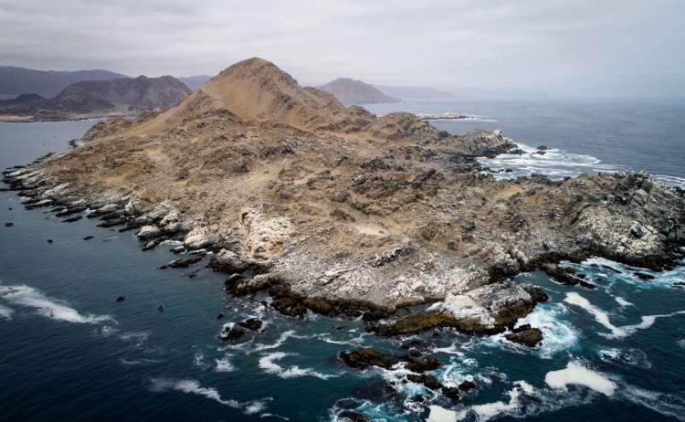 Pan de Azucar Island