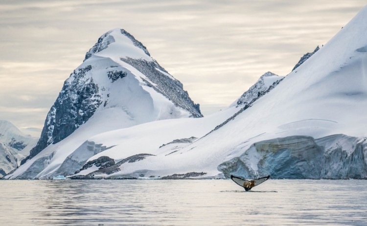 CuvervilleAndOrcas 15 2 v2