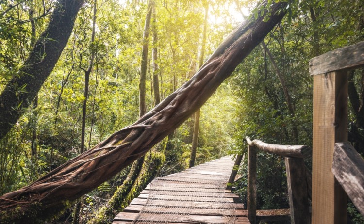 chiloe national park 1252070788