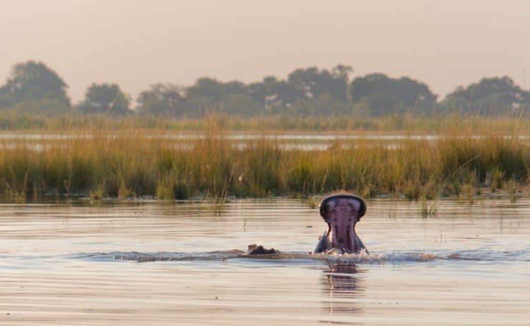 shutterstock 2338710703