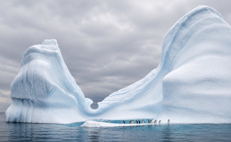 Christmas in Antarctica Stunning iceberg formation with group of penguins