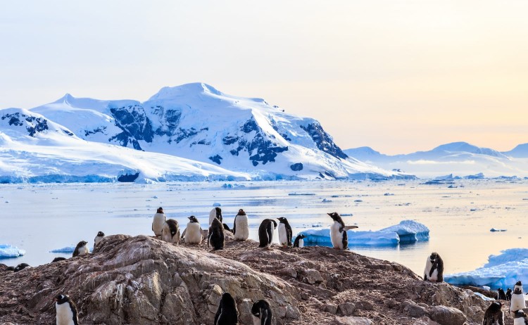 Antarctica Peninsula