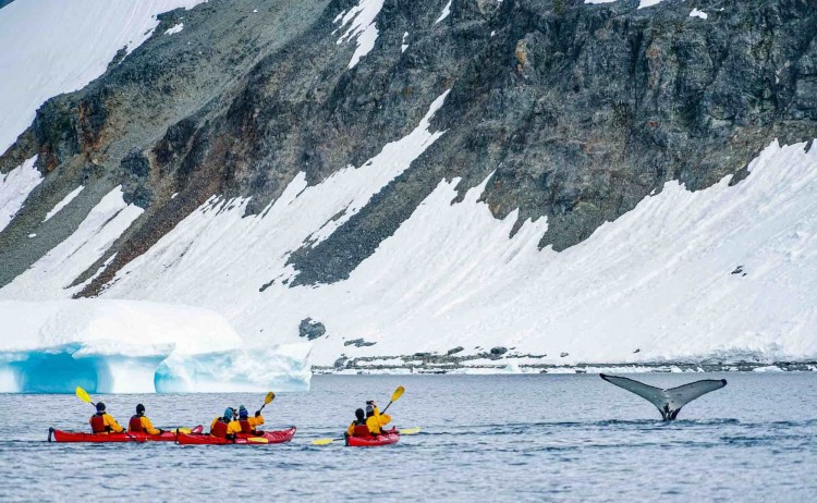Antarctica21 Sea Kayaking