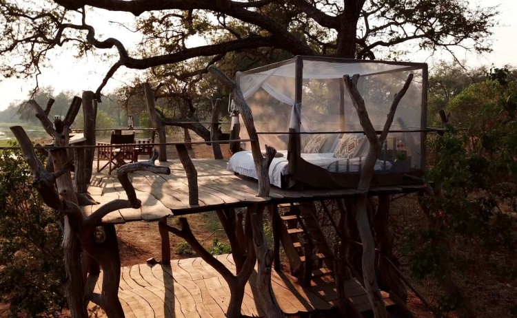 Johns Camp