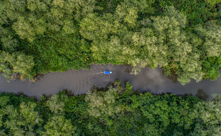 Corcovado national park