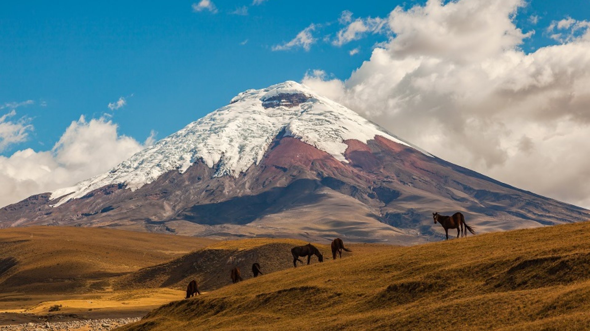 Cotopaxi Volcano | Hacienda Stay | Viva Expeditions