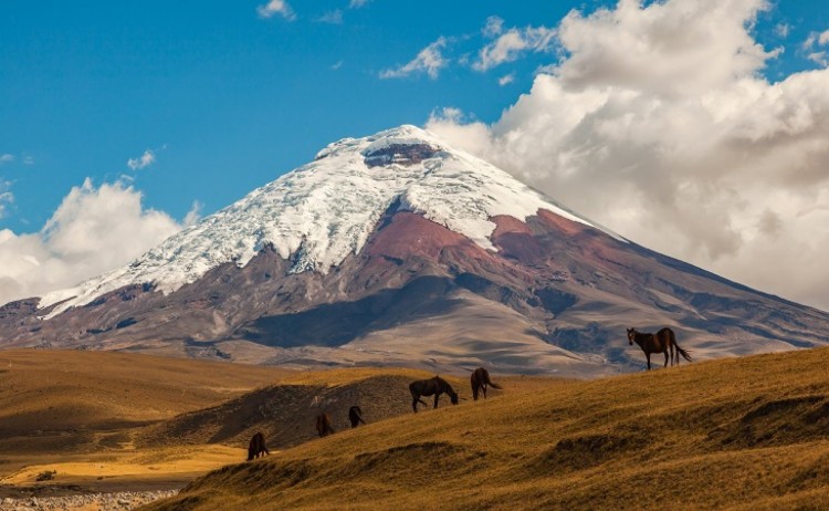 Cotopaxi Ecuador