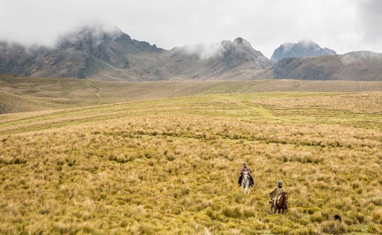 Horseback Riding gallery 0