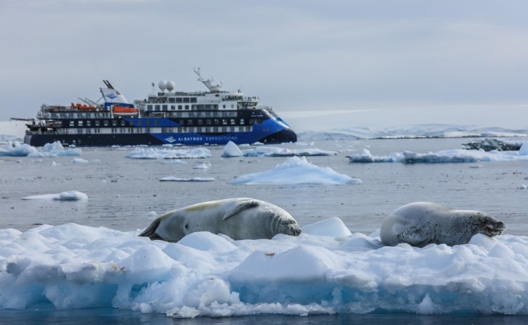Crossing the Antractic circle seals Ocean Victory