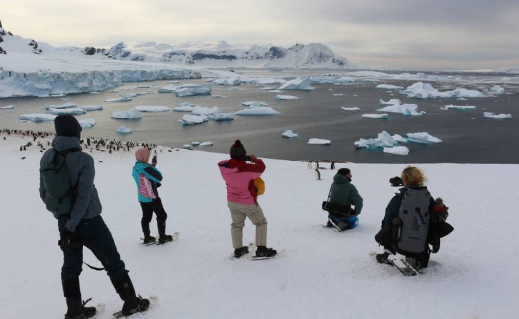 Cuverville Island Antarctica penisula OW