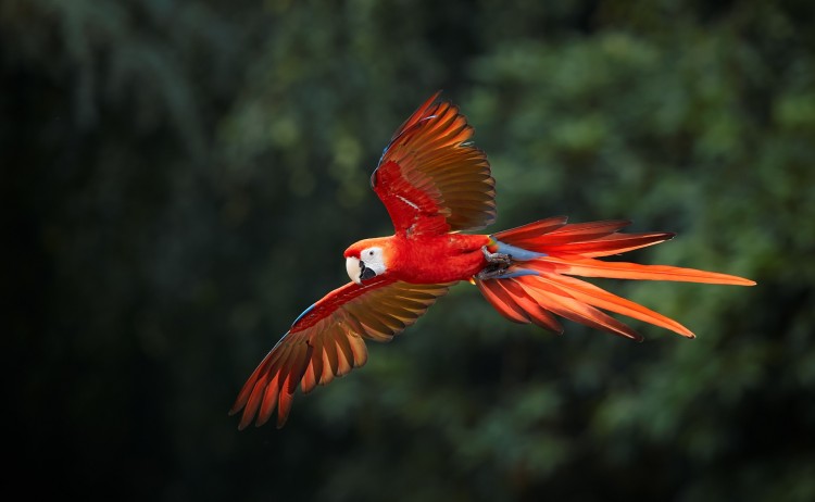 shutterstock 481822411 Copy