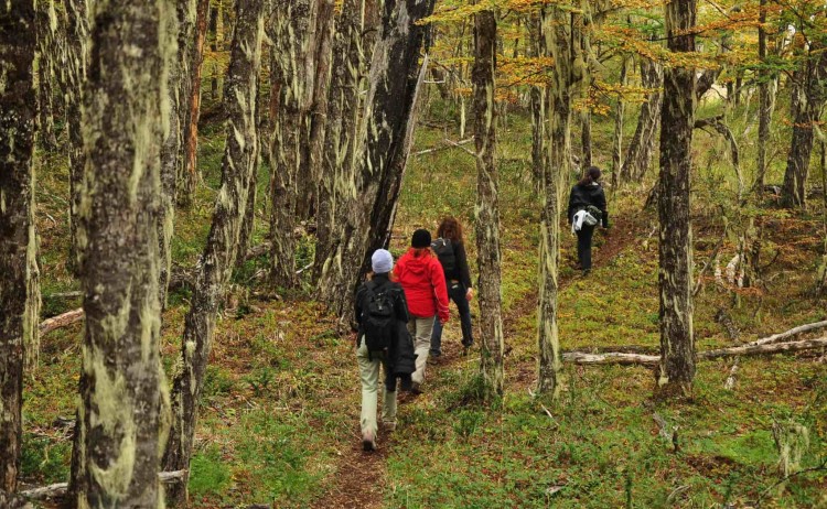 Hike in the trails of Mallin Colorado