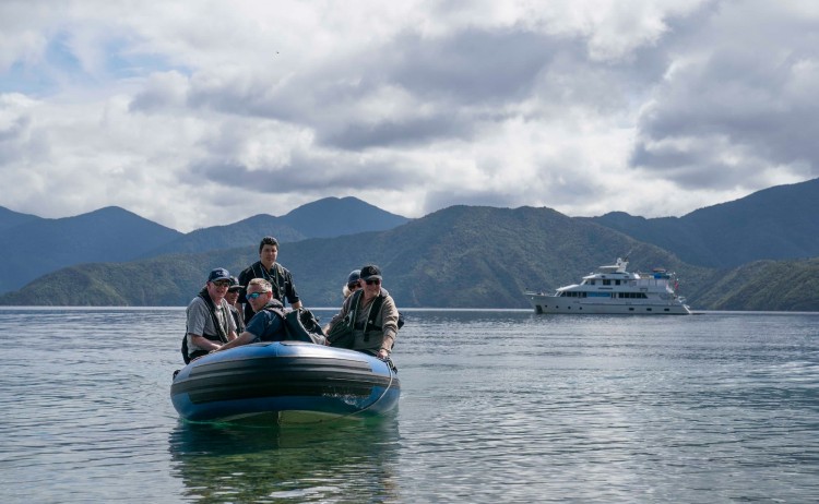 Blumine Island F. Wardle