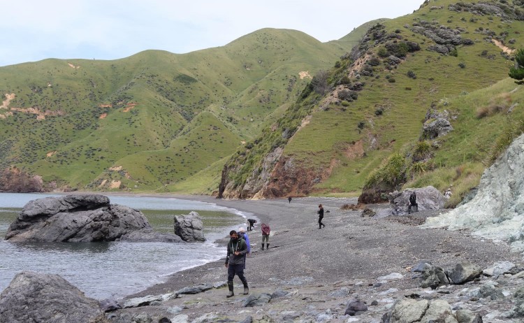 Marlborough Beach M. Harvey