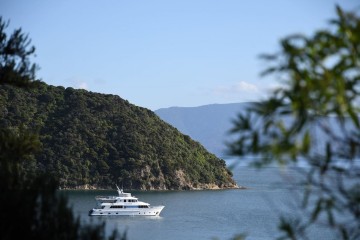 Discover Marlborough Sounds: In-Depth Exploration