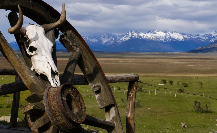El Calafate tours a wooden wagon wheel with a cow skull
