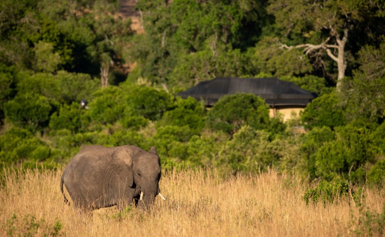 Elewana Sand River Masai Mara accommodation exterior view of tents small