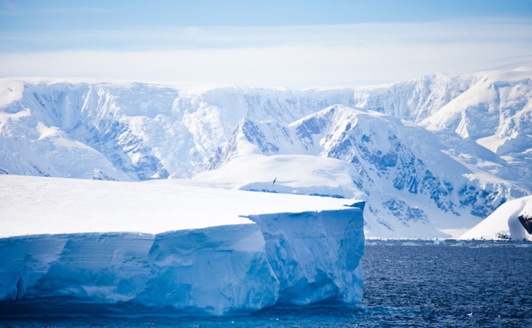 Antarctica 5